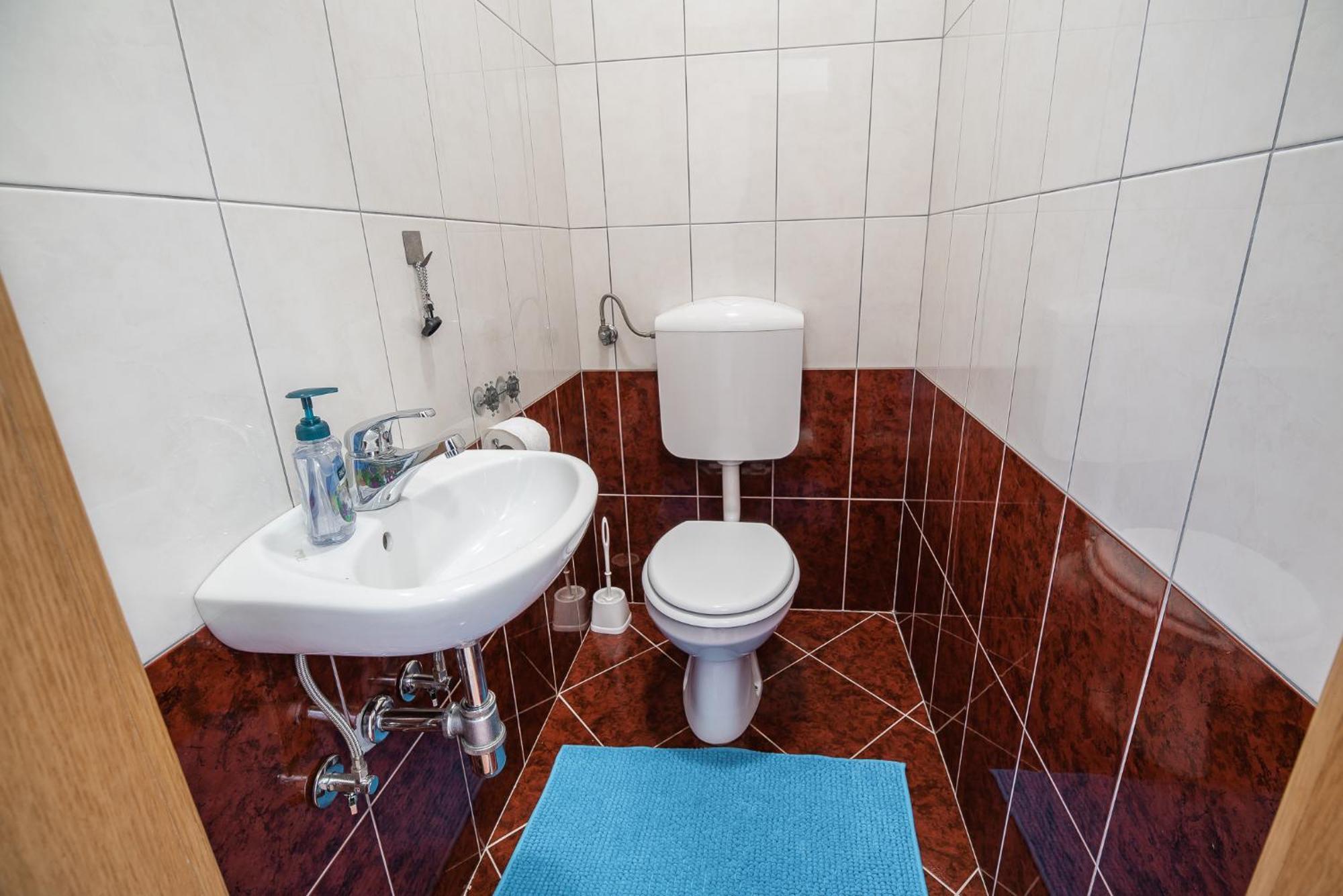 Apartment Zelimlje Škofljica Екстериор снимка
